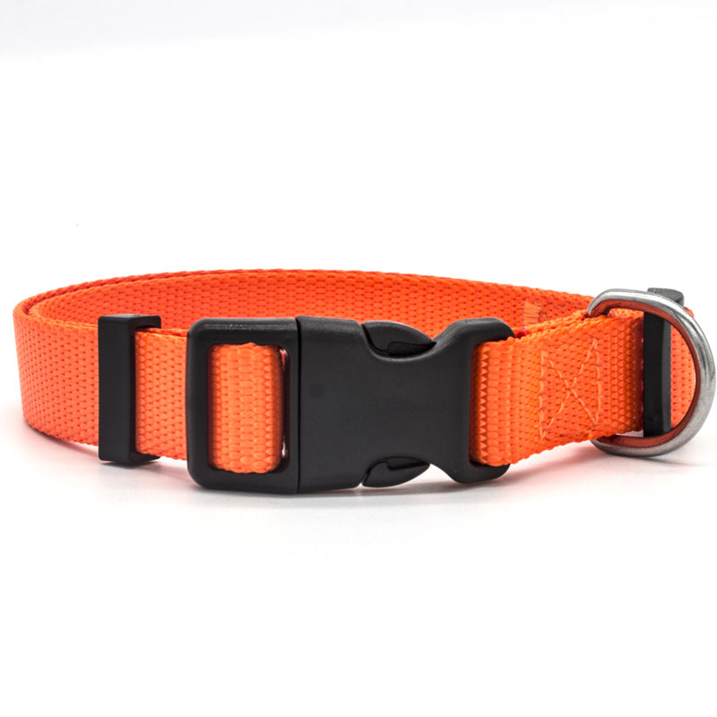 New Pet collar by My Store, adjustable design shown against a plain background