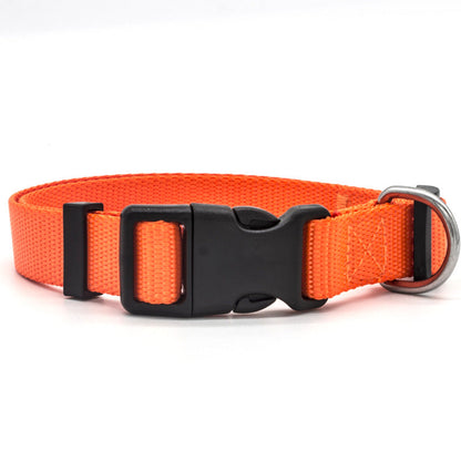 New Pet collar by My Store, adjustable design shown against a plain background