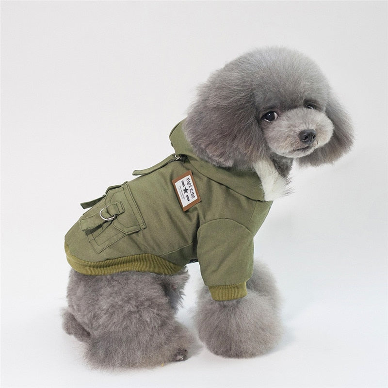 Dog wearing a cap coat with adjustable fit and full back coverage