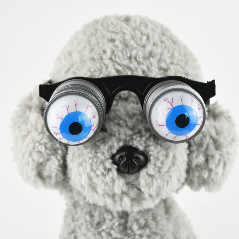 Pet funny spring glasses props for playful pet photos, featuring colorful coiled frames and novelty lenses