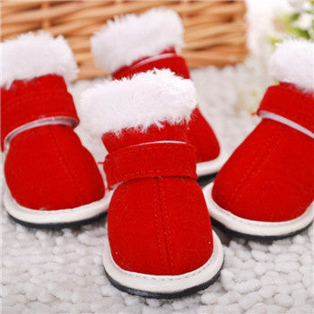 Pet shoes by My Store, protective footwear for dogs and cats