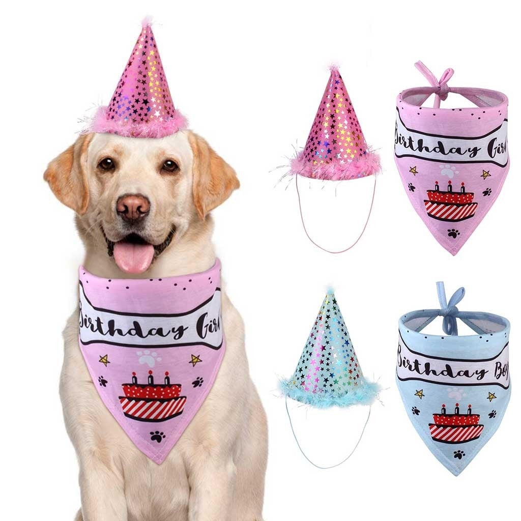 Pet birthday party hat and saliva towel set for dogs and cats, colorful celebration accessories