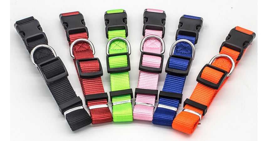 New pet collar by My Store, adjustable collar shown on a clean background