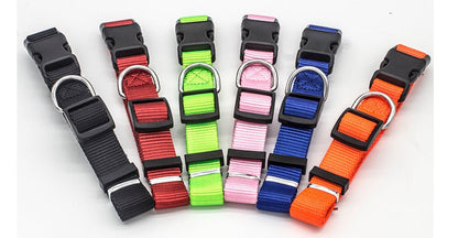New pet collar by My Store, adjustable collar shown on a clean background