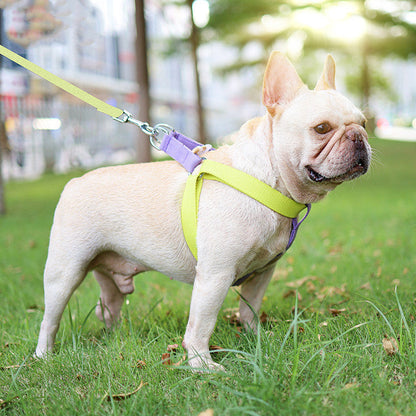 Color pet drawstring vest-style dog leash in multicolor design with adjustable harness straps