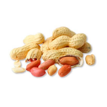 Roasted unsalted peanuts in shell from Candy In Bulk, whole nut snack in a large bulk value bag, ready to enjoy.