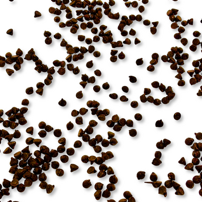 Hershey’s semi-sweet chocolate baking chips in a bulk value bag from Candy In Bulk, showing dark chocolate chips ready for baking.
