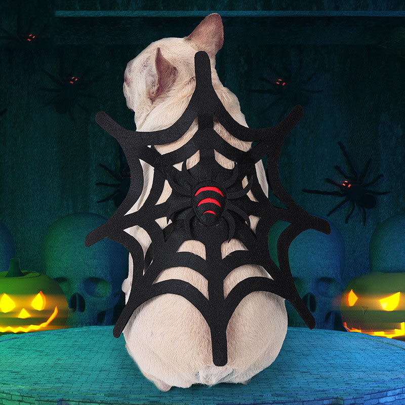 Halloween cat and dog spider web makeover design by My Store