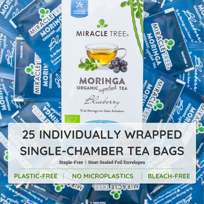 Organic Moringa Blueberry Herbal Tea by Miracle Tree, caffeine-free herbal tea with vibrant blueberry flavor and fresh tea leaves.