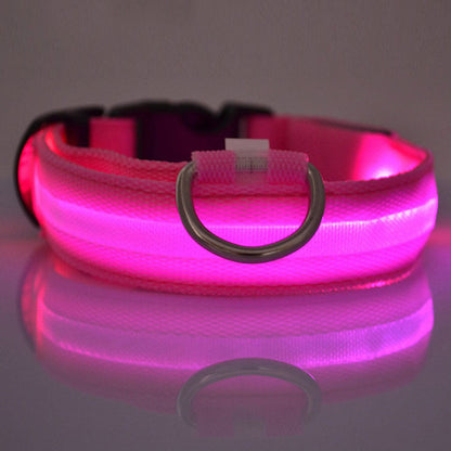 Safety Dog LED Collar with glowing LED lights for nighttime visibility