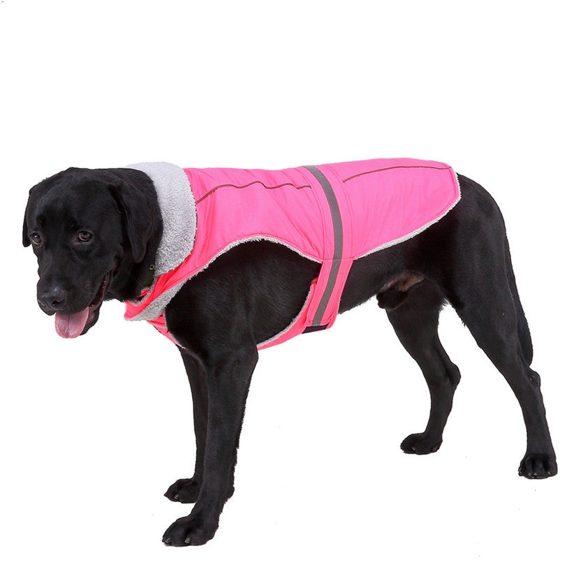 Winter reflective pet clothes for dogs, nightwear design with visible reflective detailing