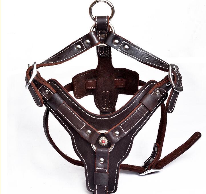 Genuine leather dog harness by My Store, adjustable design with secure buckles.