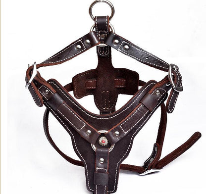 Genuine leather dog harness by My Store, adjustable design with secure buckles.