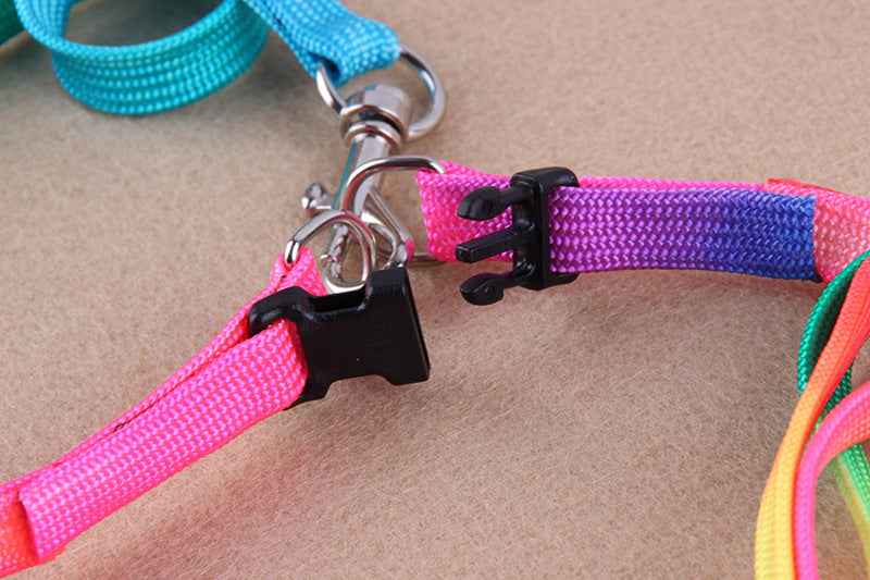 Colorful leashes for pets in assorted bright colors, My Store brand