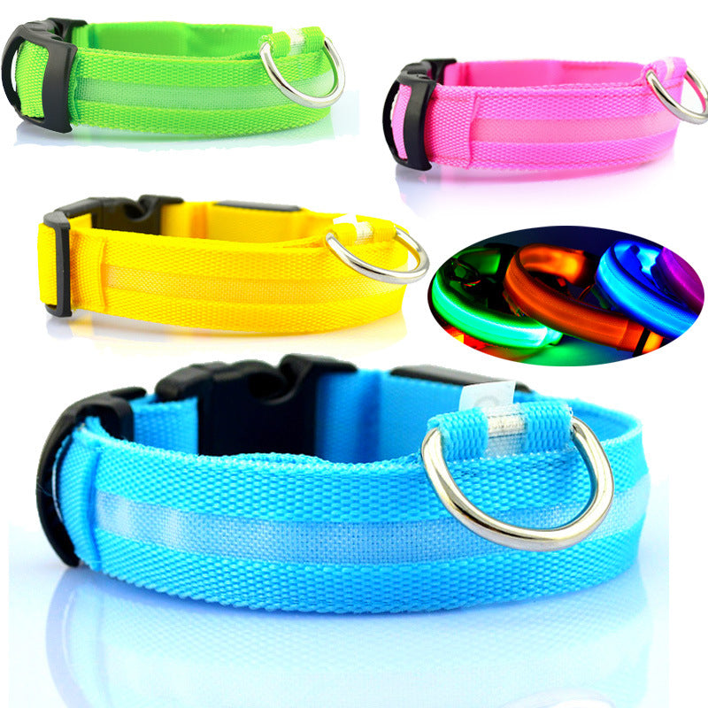 Safety Dog LED Collar, glowing adjustable collar for nighttime visibility