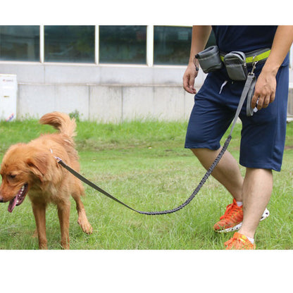 Adjustable hands-free dog leash by My Store shown with a versatile, comfortable design