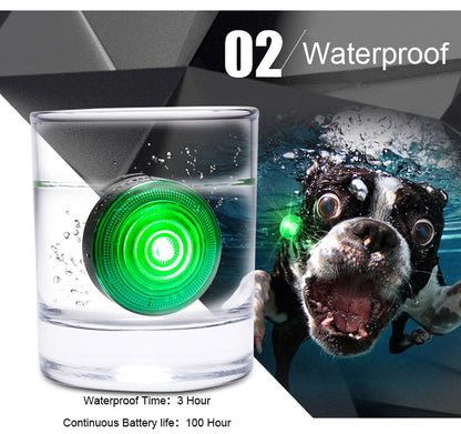 Dog anti-lost night light by My Store, compact LED safety light for nighttime visibility