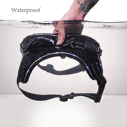 Glowing dog collar by My Store with bright LED light for nighttime visibility