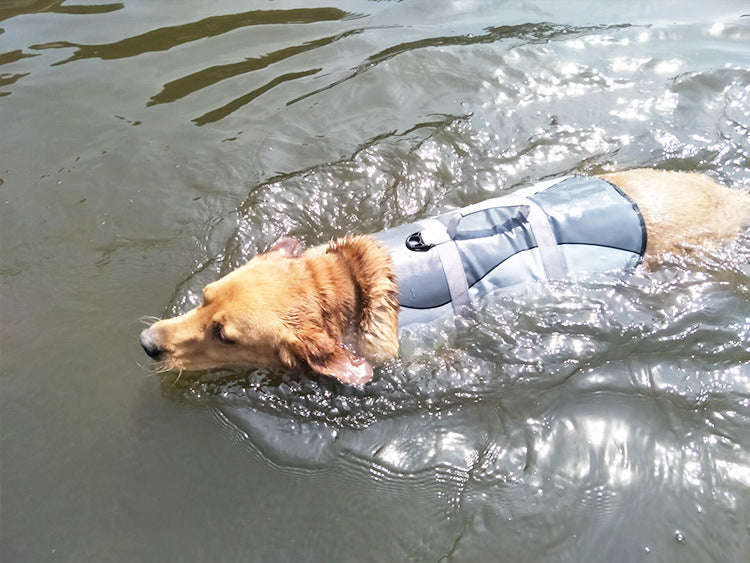 Pet life jacket by My Store displayed for water safety and flotation