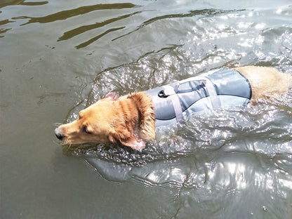 Pet life jacket by My Store displayed for water safety and flotation