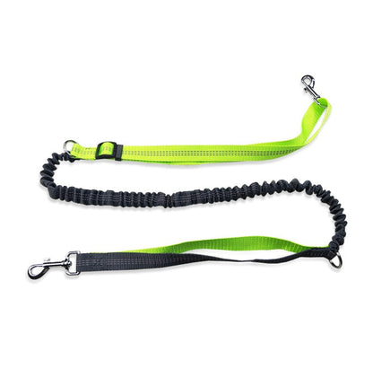 Hands-free dog collar by My Store, shown in black with an adjustable strap and metal clasp