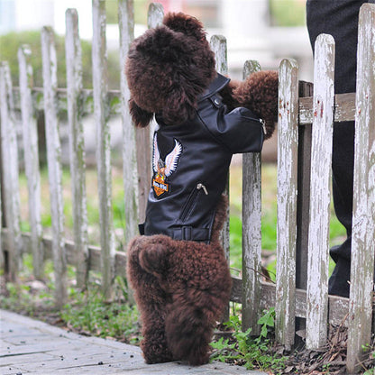Small dog wearing an embroidered eagle leather jacket with a sticker-style design