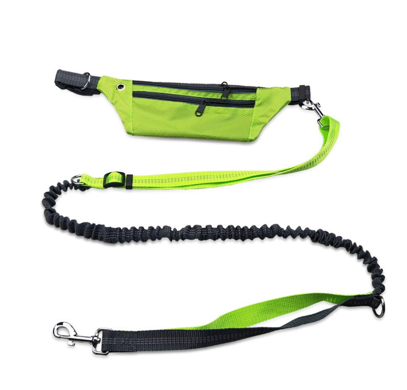 Hands-free dog collar in black by My Store, adjustable design for comfortable everyday wear