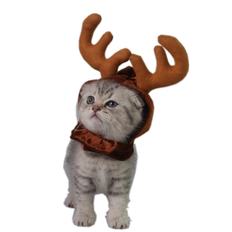 Teddy dog and cat antlers accessory in a playful animal design