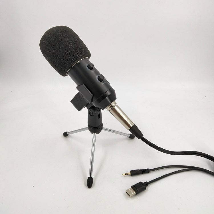 BM800 microphone by Reverb, black condenser microphone with adjustable stand and audio cable