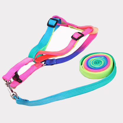 Colorful leashes collection displayed in assorted bright colors