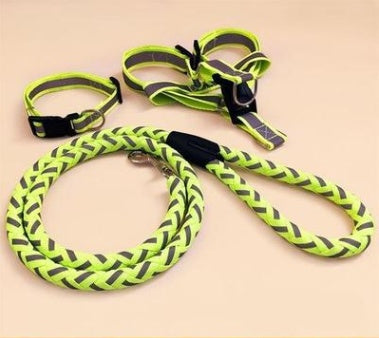 Pet dog leash by My Store, durable lead with clip for walking dogs