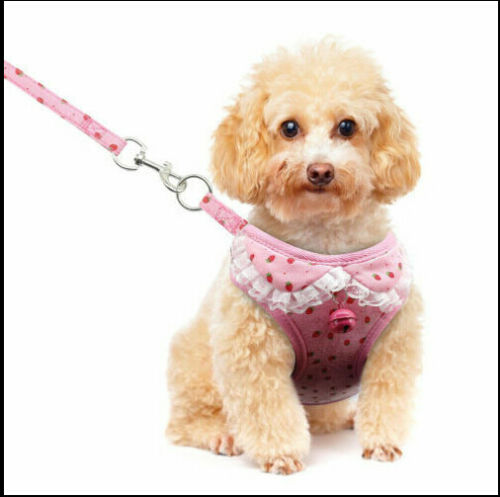 Cute breathable tank top style dog chest strap harness for pets by My Store