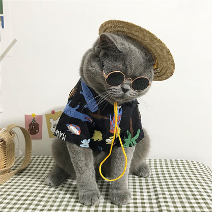 Cat clothes by My Store, shown on a plain background