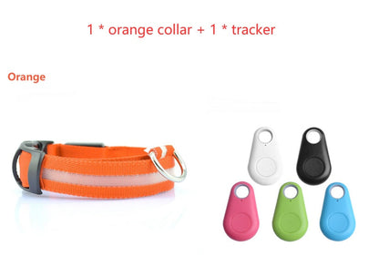 Safety Dog LED Collar in bright blue, shown illuminated for nighttime visibility