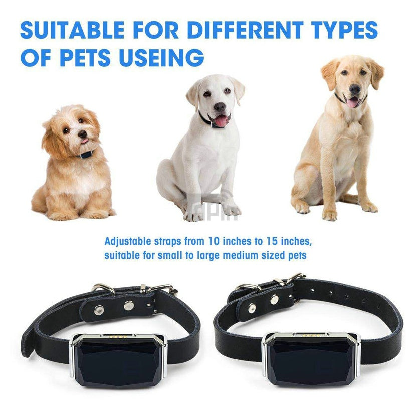 Pet tracking locator by My Store, compact GPS device for locating pets
