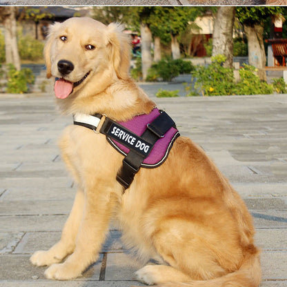 Labrador dog harness with matching leash, adjustable black pet walking set