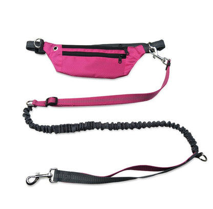 Hands-free dog collar by My Store, adjustable collar shown on a dog close-up