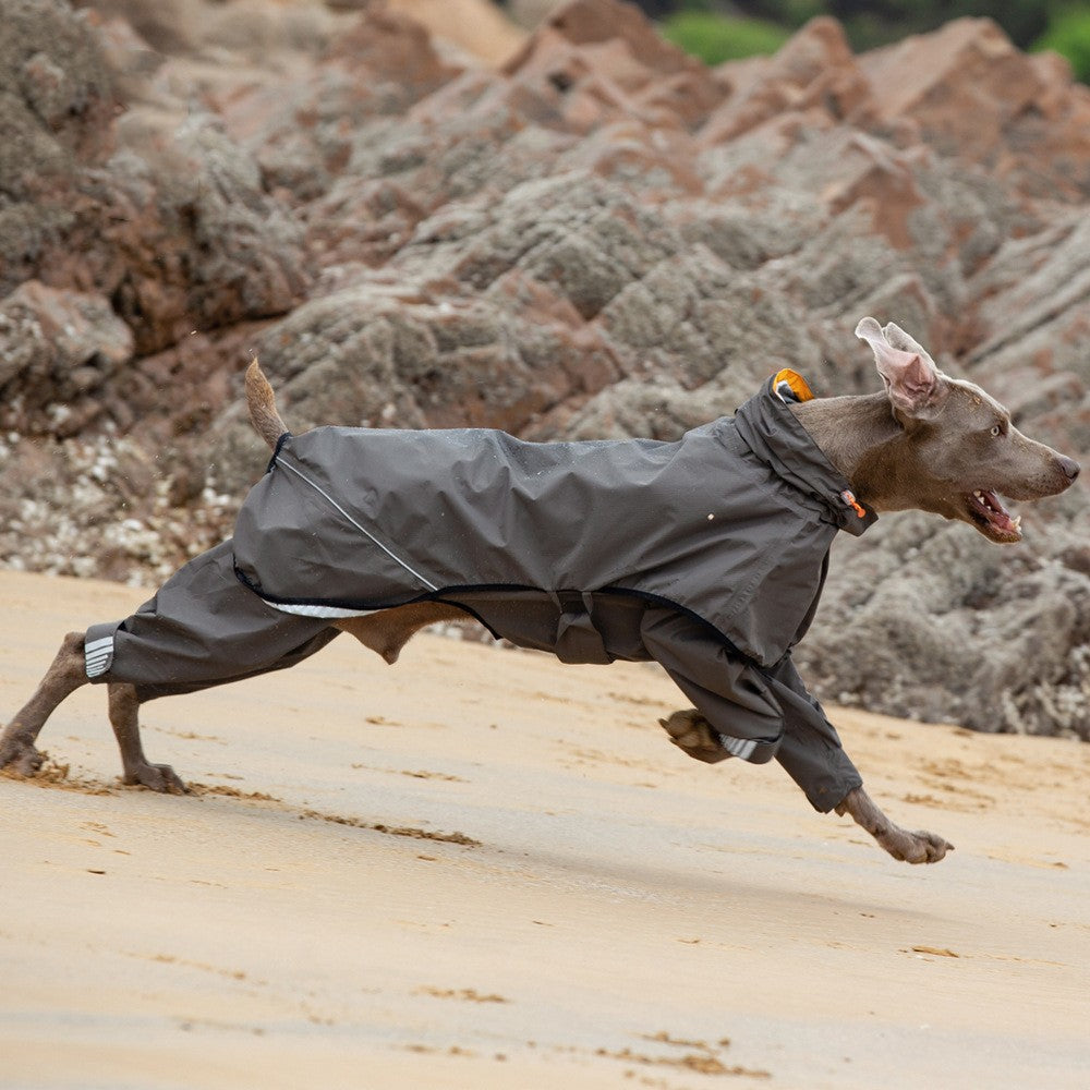 Four-legged waterproof raincoat poncho for medium to large dogs, yellow with hood and leg coverage