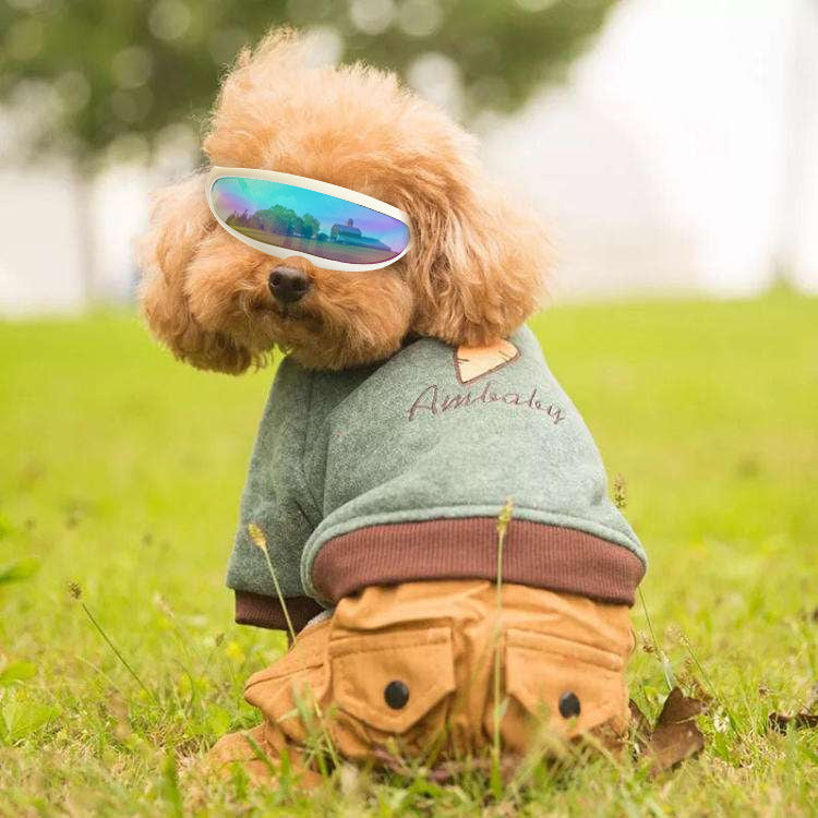 Dog UV protection sunscreen goggles for pets, featuring tinted lenses and a comfortable adjustable fit