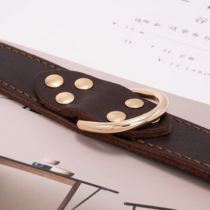 Dog collar by My Store, adjustable design shown on a plain background