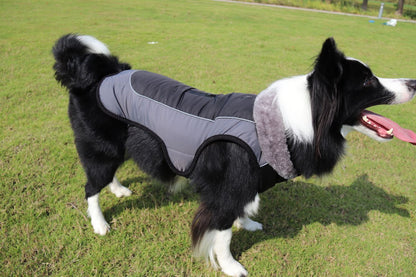 Thickened padded dog coat with reflective detailing, protective winter dog clothing中央値との差