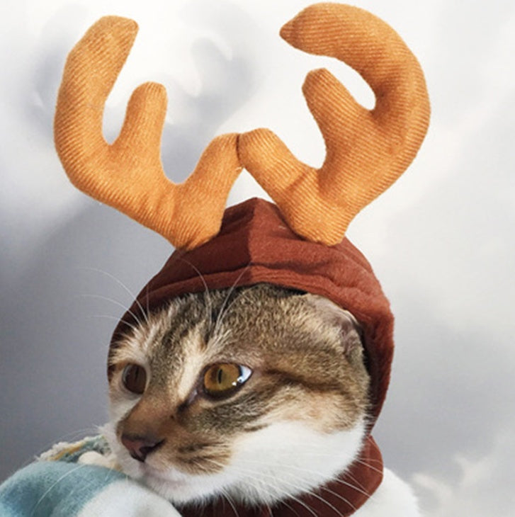 Small Christmas pet tiara for dogs and cats with festive holiday design