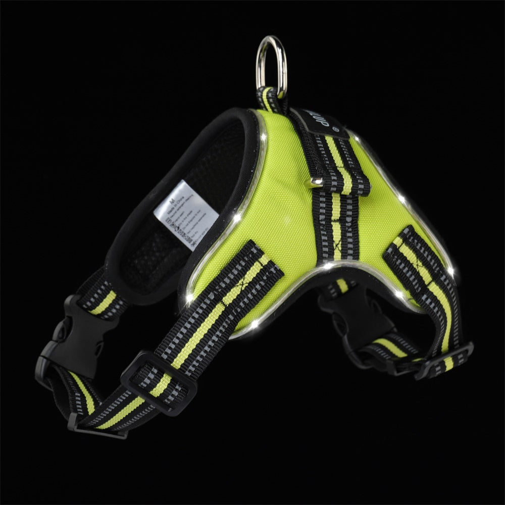 Glowing dog collar by My Store, illuminated LED collar shown against a clear background