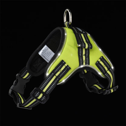 Glowing dog collar by My Store, illuminated LED collar shown against a clear background