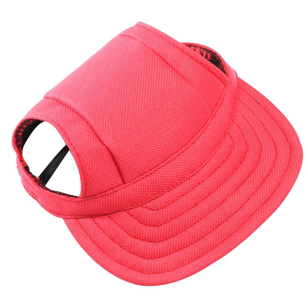 Teddy Bichon wearing a VIP baseball pet hat hair accessory