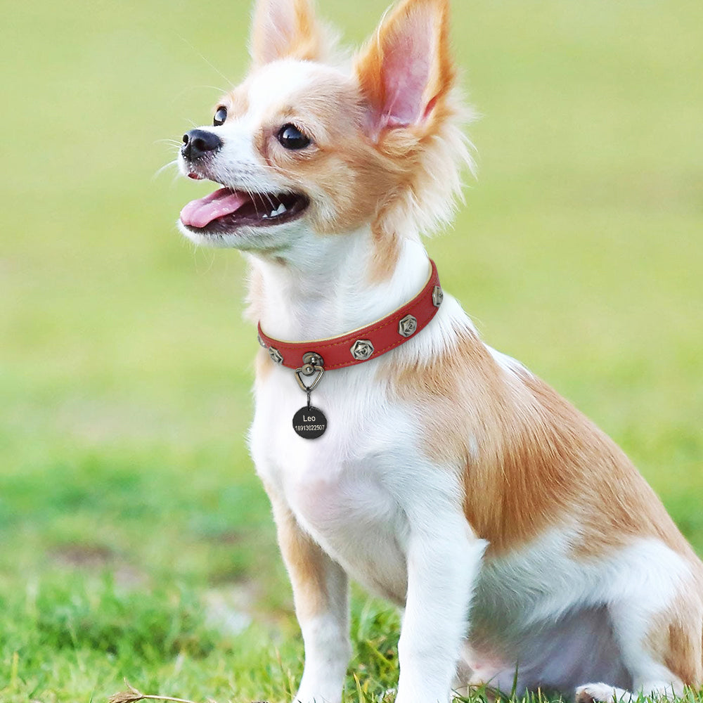Pet leather collar, Type 7 design, by My Store