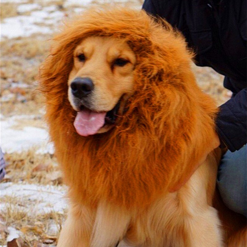 Lion mane wig costume for large dogs, fluffy brown lion hair with ear openings