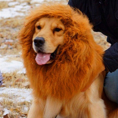 Lion mane wig costume for large dogs, fluffy brown lion hair with ear openings
