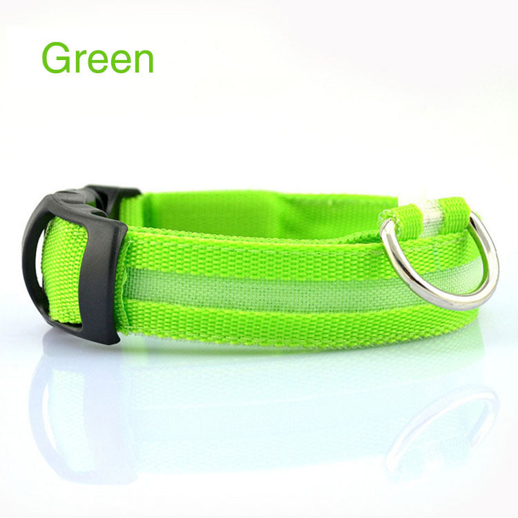 Safety Dog LED Collar illuminated for nighttime visibility