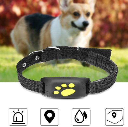 GPS pet tracker by My Store with compact design for locating dogs and cats outdoors